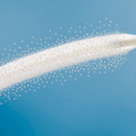 smaller-diameters-of-biotronik-passeo-18-lux-drug-coated-balloon-receive-ce-mark