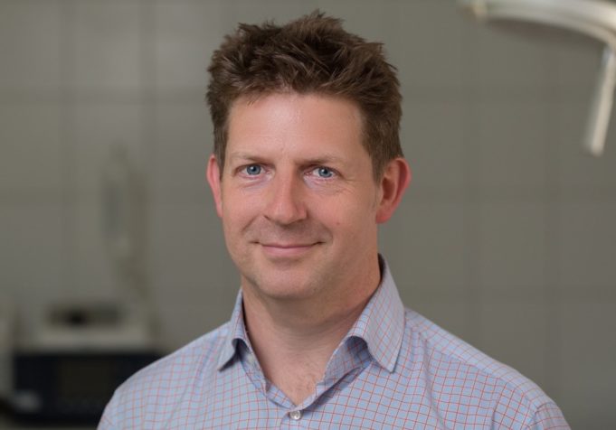 Adhesive closure “an effective add-on” to thermal ablation