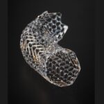 Investigational GORE VIAFORT Vascular Stent-1