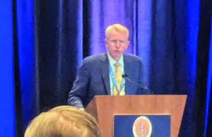 Novel microbubble-enhanced ultrasound procedure shows promise in acute porcine DVT model test