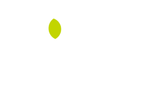 Inquis Medical announces completion of US$40 million series B financing