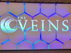 The VEINS 2024 live blog