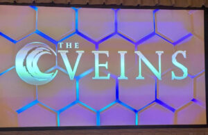 The VEINS 2024 live blog