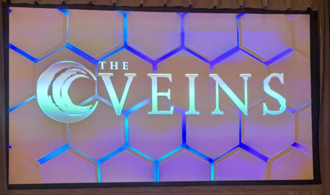 The VEINS 2024 live blog