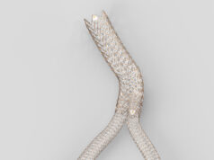 Gore announces US FDA approval for Fortegra venous stent Gore Viabahn Fortegra