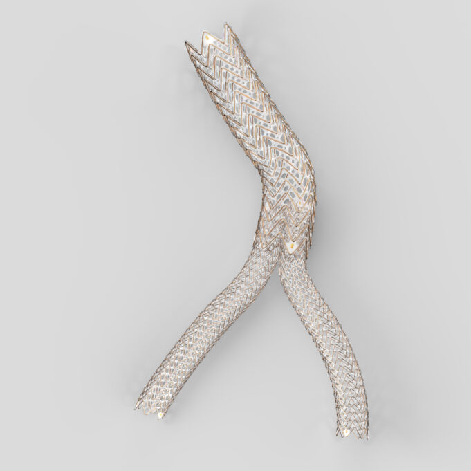 Gore announces US FDA approval for Fortegra venous stent Gore Viabahn Fortegra